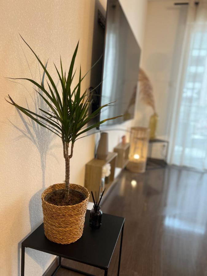 Apartament T2 Cosy Ajaccio Ajaccio  Zewnętrze zdjęcie