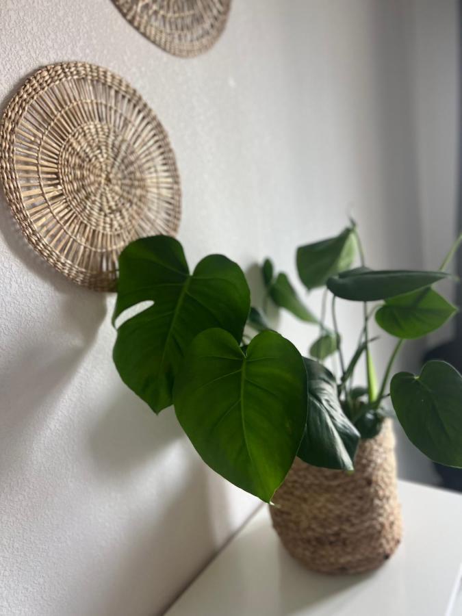 Apartament T2 Cosy Ajaccio Ajaccio  Zewnętrze zdjęcie